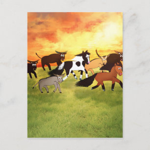 Cartoon Pferde mit Bull Postkarte