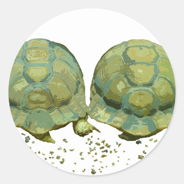Cartoon Schildkrötenkleber Runder Aufkleber (Vorderseite)