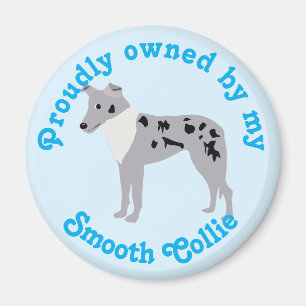 Cartoon Smooth Collie Merle Magnet