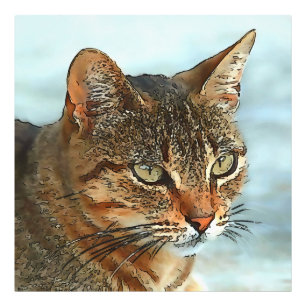 Cartoon Style Tabby Cat RB Fotodruck