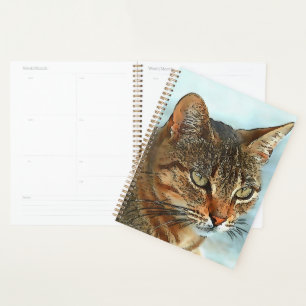 Cartoon Style Tabby Cat RB Planer