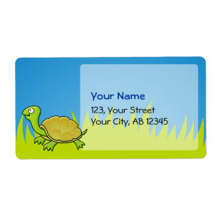 Cartoon Turtle