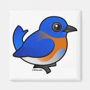 Cartoon Western Bluebird Magnet