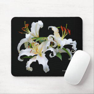 Casablanca White Oriental Lilies Blume Mousepad