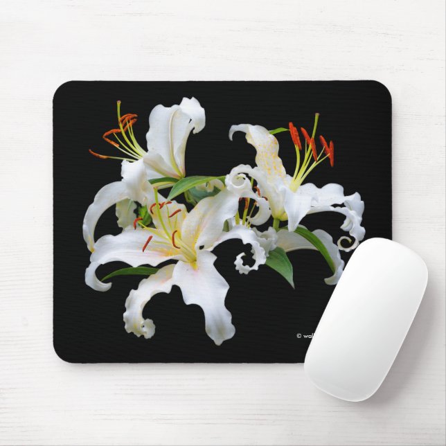 Casablanca White Oriental Lilies Blume Mousepad (Mit Mouse)