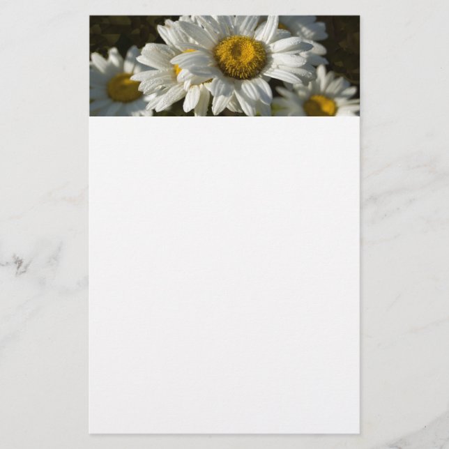 Casacding Gänseblümchen-Briefpapier Briefpapier (Vorderseite)