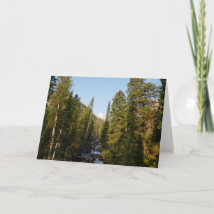 Cascade Creek bei Grand Teton Karte