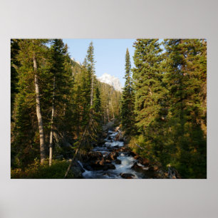 Cascade Creek im Grand Teton Poster