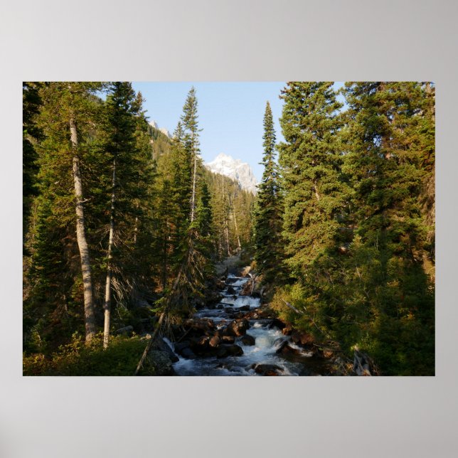Cascade Creek im Grand Teton Poster (Vorne)