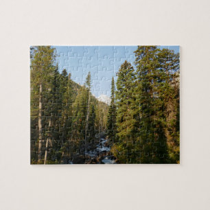 Cascade Creek im Grand Teton Puzzle