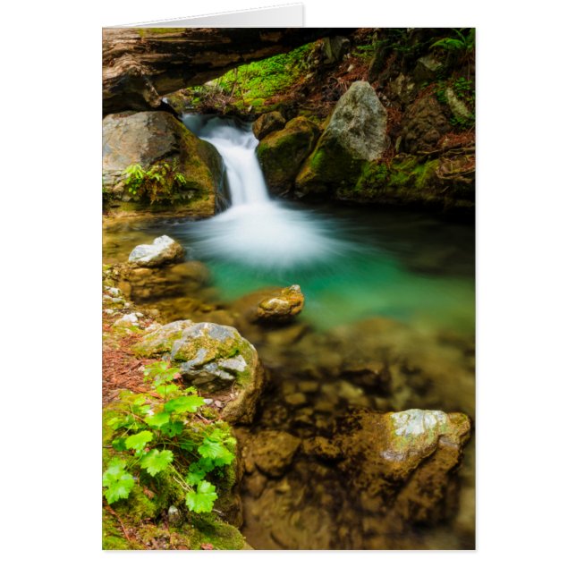 Cascade on Hare Creek, Kalifornien (Vorne)