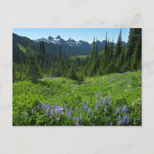 Cascade Range vom Mount Rainier Nationalpark Postkarte