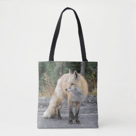 Cascade Red Fox Wildlife Foto