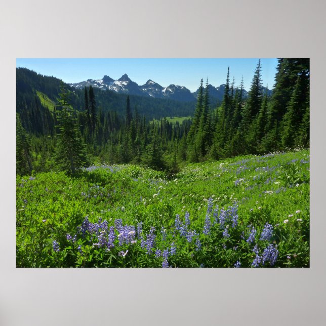 Cascade-Strecke vom Rainier-Nationalpark Poster (Vorne)