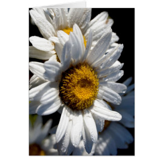 Cascading Daisy