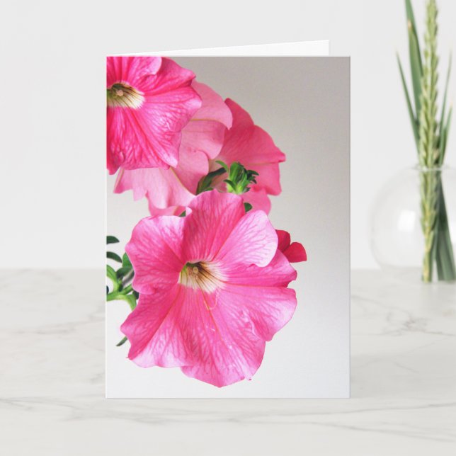 Cascading Pink Petunias Karte (Vorderseite)