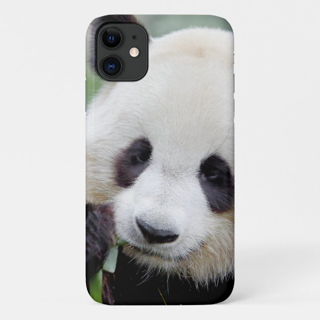 Case Foto Riesenpanda, Panda Geant , Tiere. (Rückseite)