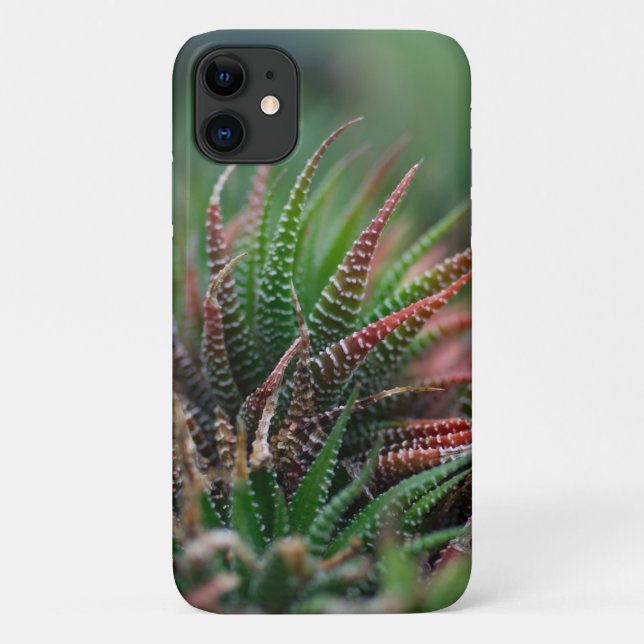Case-Mate Barely There Apple iPhone 11 Fall Hülle (Rückseite)