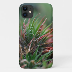 Case-Mate Barely There Apple iPhone 11 Hülle
