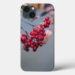 Case-Mate Barely There Apple iPhone 13 Fall Hülle