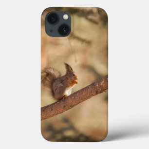 Case-Mate Barely There Apple iPhone 13 Fall Hülle