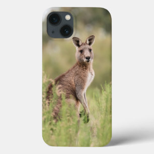 Case-Mate Barely There Apple iPhone 13 Fall Hülle