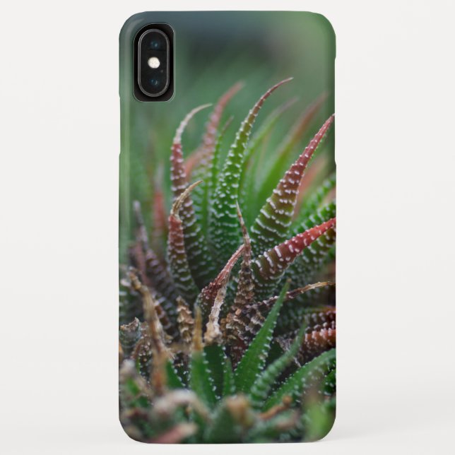 Case-Mate Barely There Apple iPhone XS Max Hülle (Rückseite)