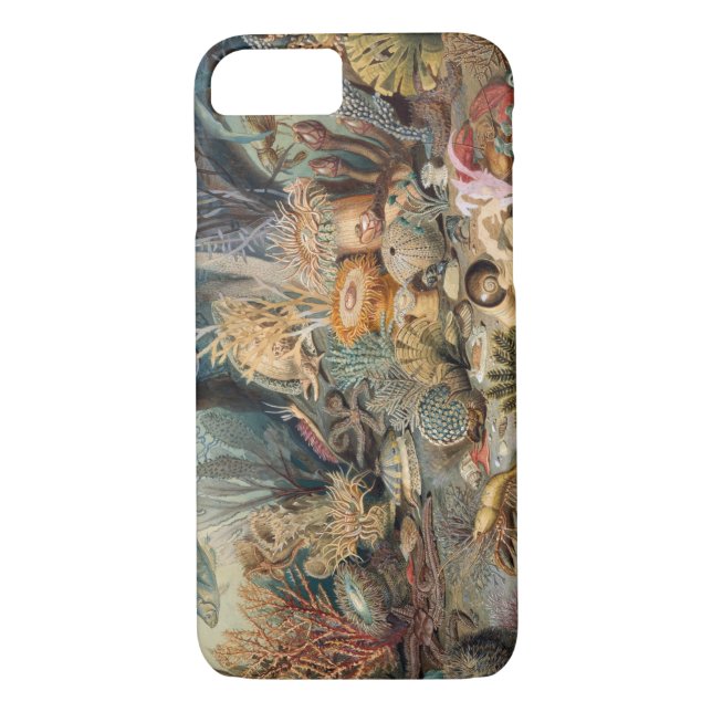 Case-Mate Barely There iPhone 8/7 Hülle (Rückseite)