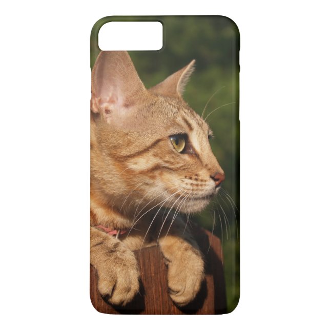 Case Mate Barely There Plus iPhone 7 Case Kitten (Rückseite)