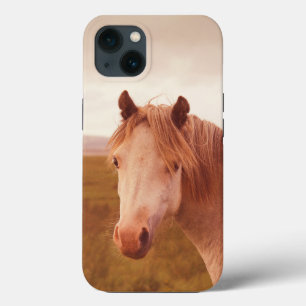 Case-Mate iPhone mit Vintagem Wildpferd Hülle