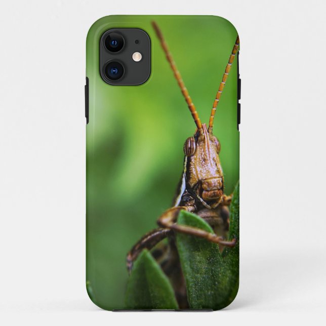 Case-Mate Tough Apple iPhone 11 Fall Hülle (Rückseite)
