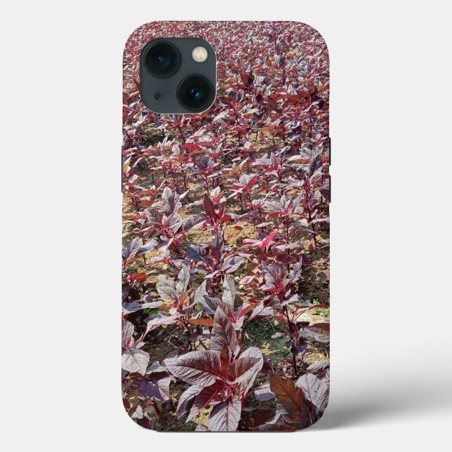 Case-Mate Tough Apple iPhone 13 Fall Hülle (Rückseite)