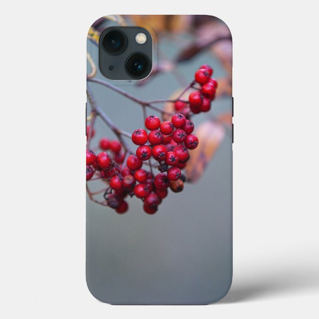 Case-Mate Tough Apple iPhone 13 Fall Hülle (Rückseite)