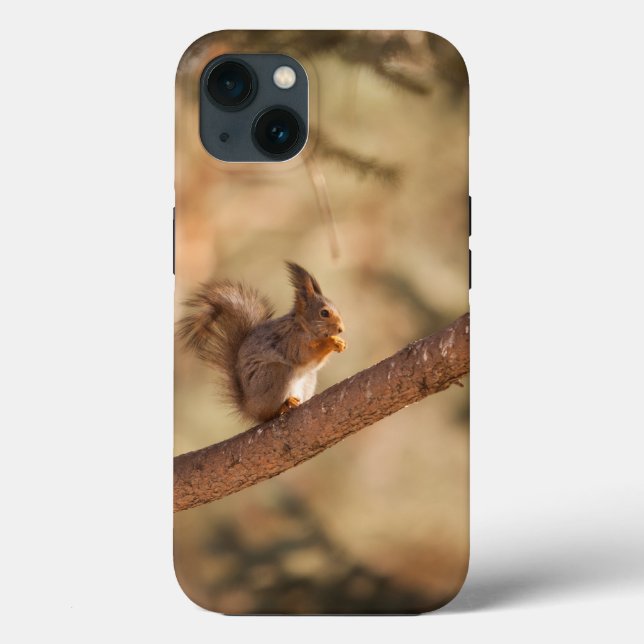 Case-Mate Tough Apple iPhone 13 Fall Hülle (Rückseite)