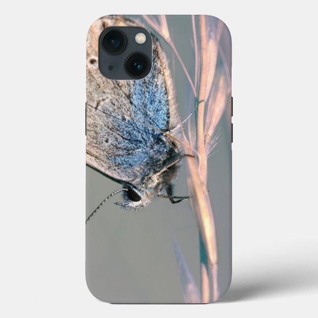Case-Mate Tough Apple iPhone 13 Fall Hülle (Rückseite)