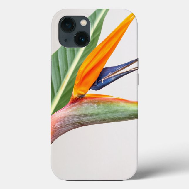 Case-Mate Tough Apple iPhone 13 Fall Hülle (Rückseite)