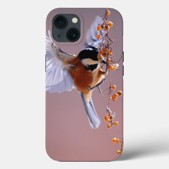 Case-Mate Tough Apple iPhone 13 Fall Hülle (Rückseite)