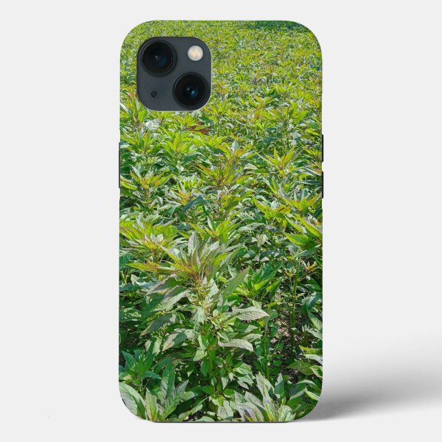 Case-Mate Tough Apple iPhone 13 Fall Hülle (Rückseite)