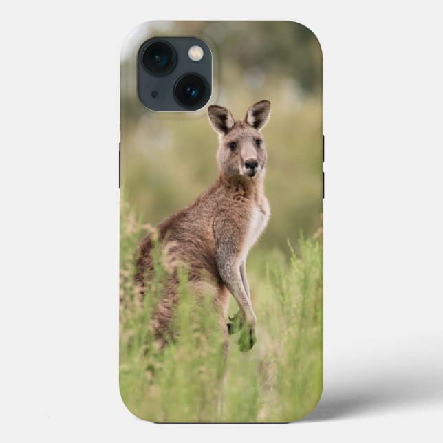 Case-Mate Tough Apple iPhone 13 Fall Hülle (Rückseite)