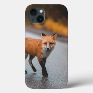 Case-Mate Tough Apple iPhone 13 Hülle