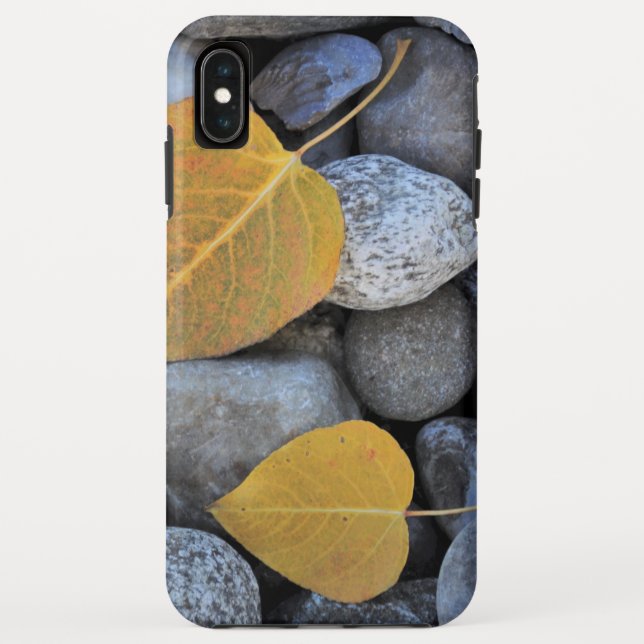 Case-Mate Tough Apple iPhone XS Max Hülle (Rückseite)