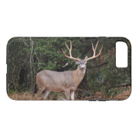 Case Mate Tough Plus iPhone 7 Case Wild Buck Deer