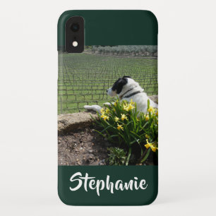 Casemate Hund und Weintrauben iPhone XR XS Max Case-Mate iPhone Hülle