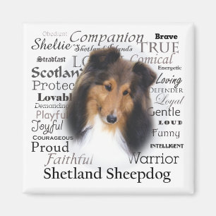 Casey Traits Magnet