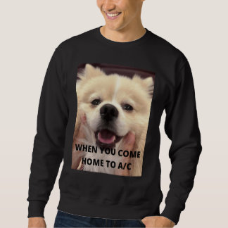 Casper Meme Wenn du nach Hause kommst zu Klimaanla Sweatshirt