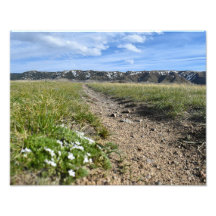 Casper Mountain Seasons - Spring Phlox - Casper WY