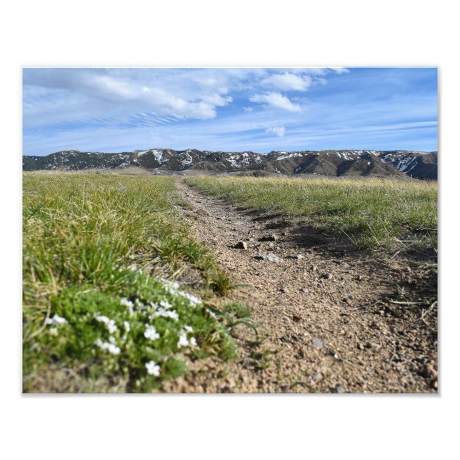 Casper Mountain Seasons - Spring Phlox - Casper WY Fotodruck (Vorne)