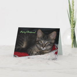 Caspian Frohe Weihnachtskarte Feiertagskarte