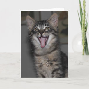 Caspian Yawning Kitten Blank Grußkarte Karte