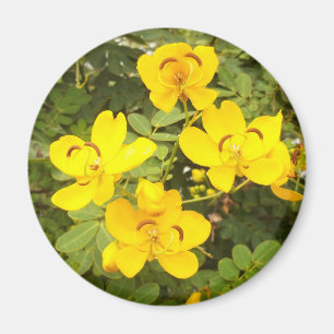 Cassia Blume Foto Round Magnet